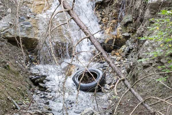 Pneu laissé dans la nature — Photo