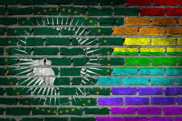 Текстура кирпичной стены - флаг Африканского союза с радужным флагом — стоковое фото