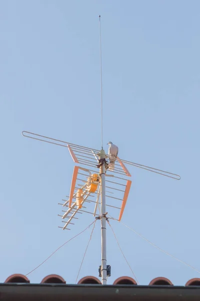 Rádió / Televízió antenna — Stock Fotó