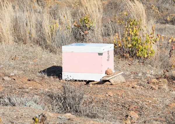 Colmena con abejas en Grecia — Foto de Stock