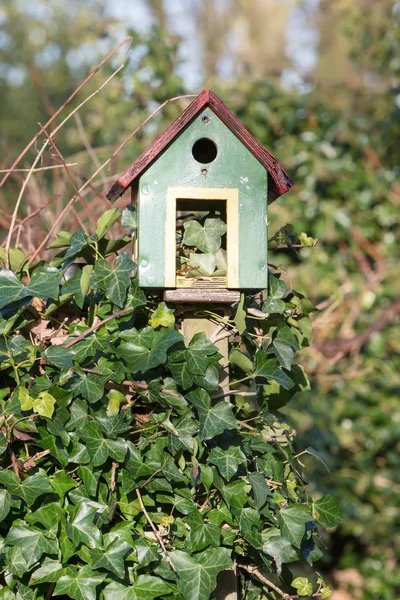 Kleines grünes Vogelhaus — Stockfoto