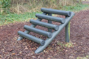 Fitness Ekipmanları bir ormanda - çok bir sahne