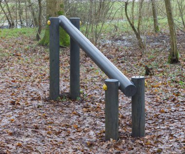 Fitness Ekipmanları bir ormanda - çok bir sahne