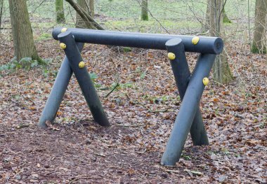 Fitness Ekipmanları bir ormanda - çok bir sahne