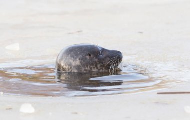 Buzdaki delik nefes mühür