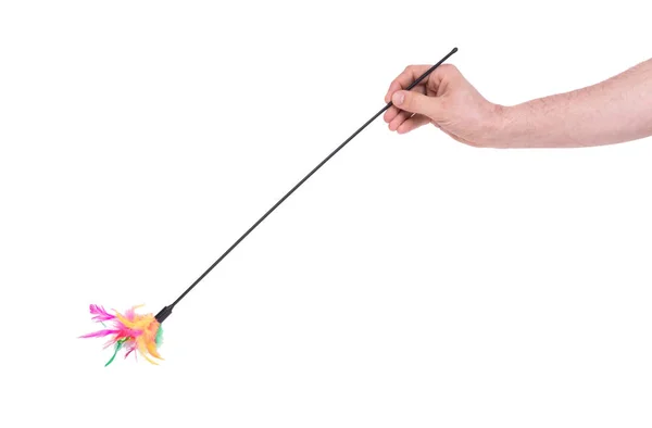 Feathered pole cat toy — Stock Photo, Image