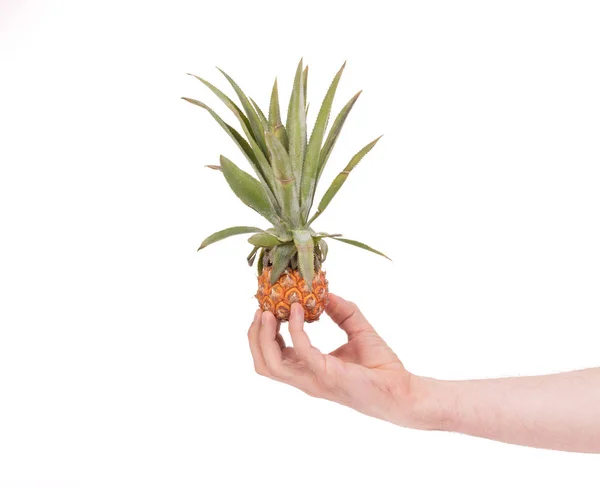 Mini fruit pineapple — Stock Photo, Image