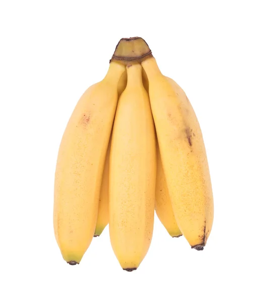 Pequeno aglomerado de bananas tropicais — Fotografia de Stock