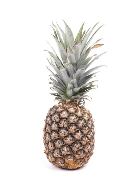Fehér alapon izolált ananász — Stock Fotó