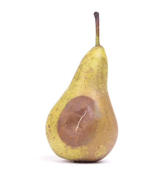 Close up of a pear with white area of fungus growing on it — Stock Photo, Image