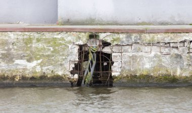 Quay, biraz bakıma ihtiyacım var.