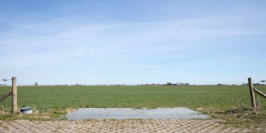 Yerdeki sığır ağları, vahşi sığırların ve diğer vahşi yaşamın geçmesini engellemek için bir engel.