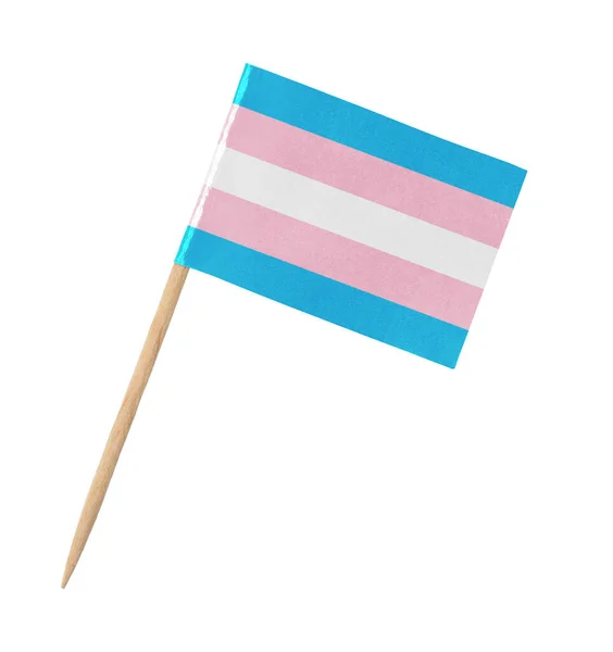 Tahta Çubukta Küçük Kağıt Transseksüel Bayrağı Beyaz Üzerinde Izole — Stok fotoğraf