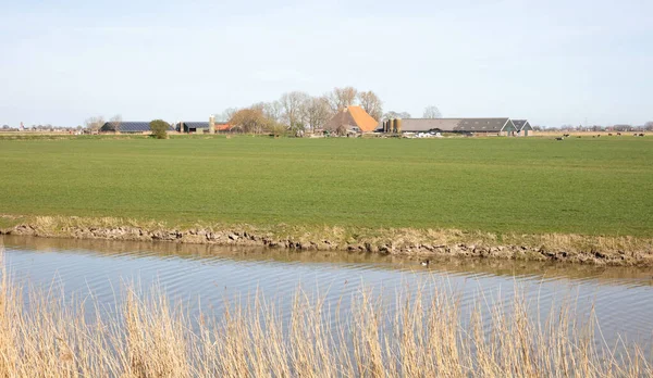 Észak Hollandiai Gazdaság Friesland — Stock Fotó