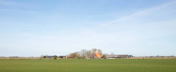 Boerderij Noord Nederland Friesland — Stockfoto