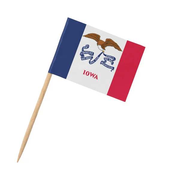 Petit Drapeau Américain Papier Sur Bâton Bois Iowa Isolé Sur — Photo