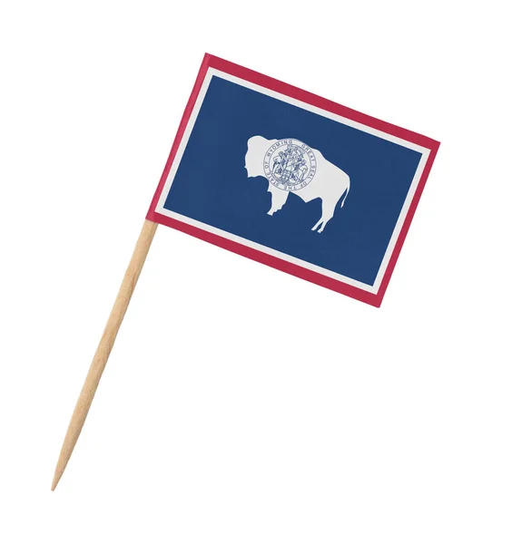 Kleine Staatsflagge Aus Papier Auf Holzstab Wyoming Isoliert Auf Weiß — Stockfoto