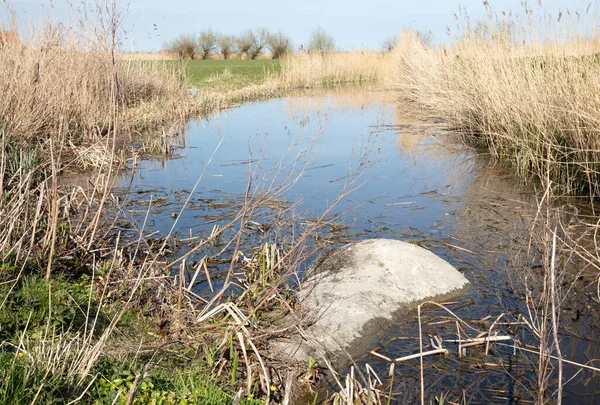 Kanalisationssystem Aus Beton Zur Entwässerung Von Abwasser Niederlande — Stockfoto