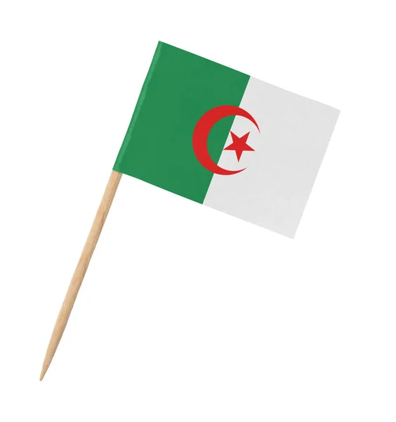 Tahta Çubukta Cezayir Küçük Kağıt Bayrağı Beyaz Üzerine Izole Edilmiş — Stok fotoğraf