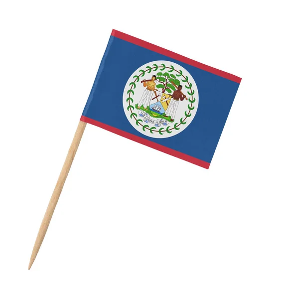 Piccola Bandiera Carta Del Belize Bastone Legno Isolata Bianco — Foto Stock