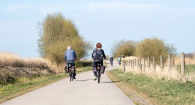 Hollanda 'da bisiklet yolunda bisiklet süren insanların dikiz görüntüsü