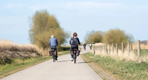 Rear view of people riding bikes on bicycle path in the Netherlands