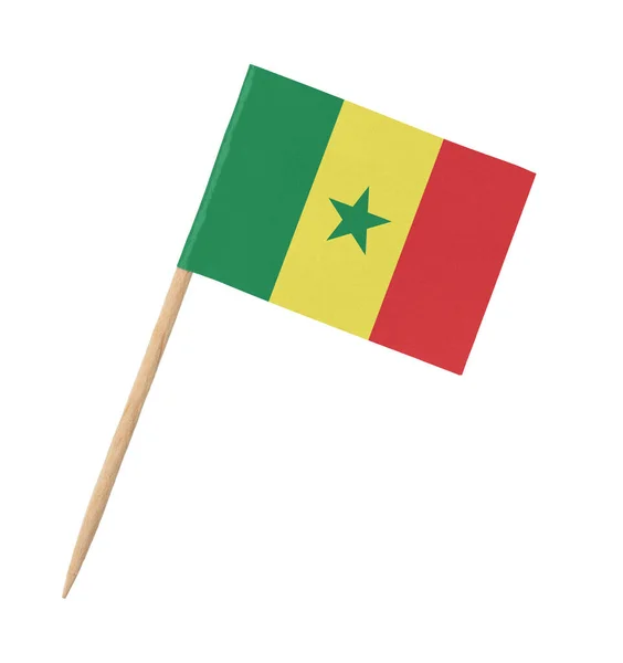 Bandeira Papel Pequena Senegal Vara Madeira Isolada Branco — Fotografia de Stock