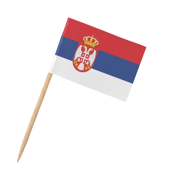 Kleine Papieren Vlag Van Servië Houten Stokje Geïsoleerd Wit — Stockfoto