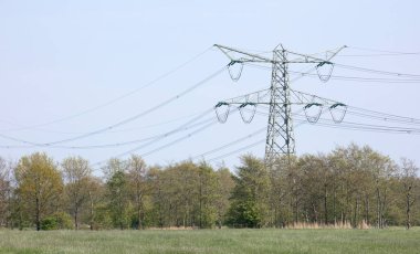 Doğadaki elektrik direği, Friesland, Hollanda