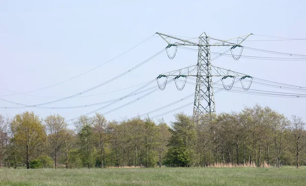 Electricity Pole Nature Friesland Netherlands — Stock Photo, Image