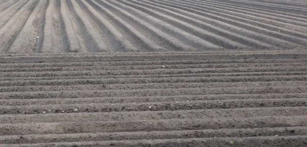 Vista Dei Terreni Agricoli Destinati Alla Semina Seminativi Paesi Bassi — Foto Stock