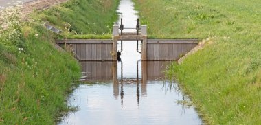 Hollanda 'da hendeği olan bir çayır, insanoğlu gözyaşı döktü.
