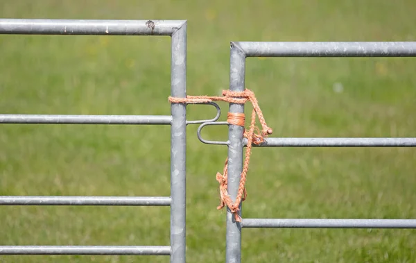 Valla Metal Puerta Granja Que Conduce Campo Herboso Cerrado Con —  Fotos de Stock