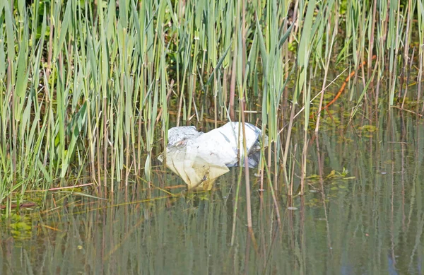 Plastic Bag Water Pollution Small River — Stock Photo, Image