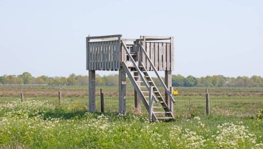 Hollanda 'da kuşlara bakma platformu