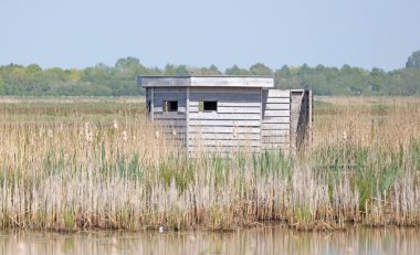 Hollanda 'daki kuşlara bakmak için gözcü kulübesi