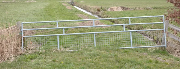Metal fence and farm gate leading into grassy field, the Netherlands