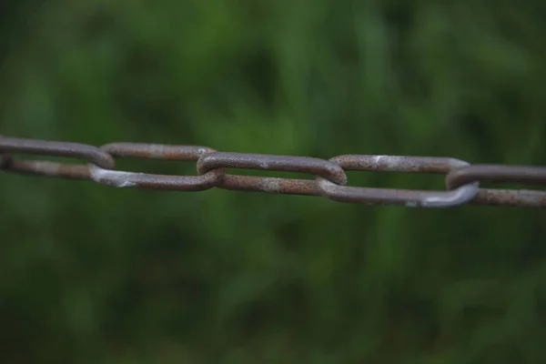 Cadena de acero con fondo de hierba verde borrosa —  Fotos de Stock