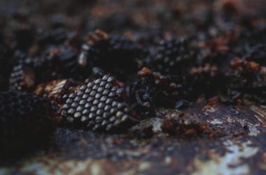 Doğal ham organik arı cilası ve arı yapıştırıcısı.