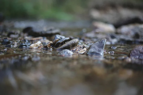 Une Rivière Avec Eau Claire Diverses Pierres Dedans — Photo