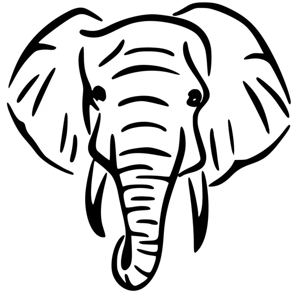 Art elefánt fej illusztráció vektor — Stock Vector