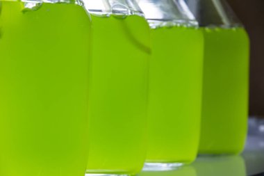 Deniz plankton kültürü Bilimsel Laboratuarı