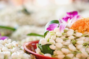 Yasemin çiçeği tepsi kadar yakın ve arka plan bulanık Yasemin demet.