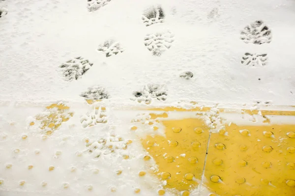Image of snow and ices with texture of shoe and sneakers soles covered on floors and yellow braille code brick floors background.