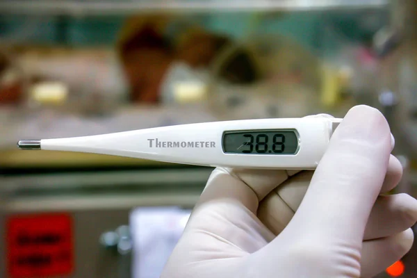 Close Medische Thermometer Handen Van Arts Wazige Achtergrond — Stockfoto