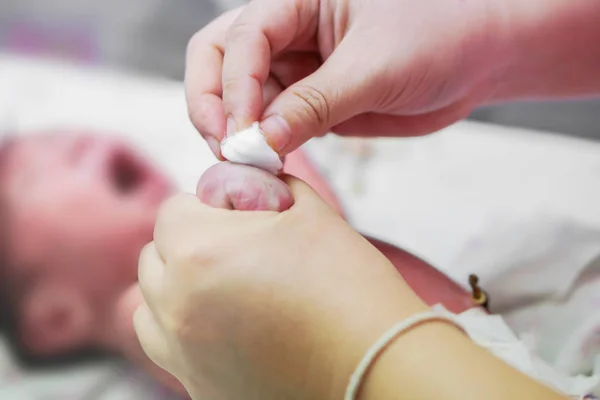 Aşı öncesi mikropları öldürmek için yeni doğan bebeğin derisini temizlemek için pamuklu bez ve alkol kullanan hemşire elleri..