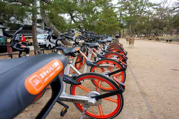 Nara Japan Januar 2019 Japan Public Travel Bikes Der Docomo — Stockfoto