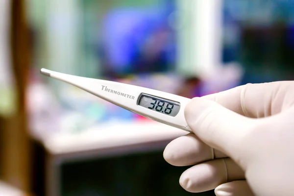 Closeup Medical thermometer in hands of doctor on blurry background..
