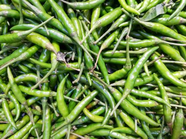 Yavru köpek bütün gün koştuktan sonra köpek yatağında uyur..