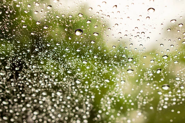 Closeup and crop rain drop on glass and blurry green plants background